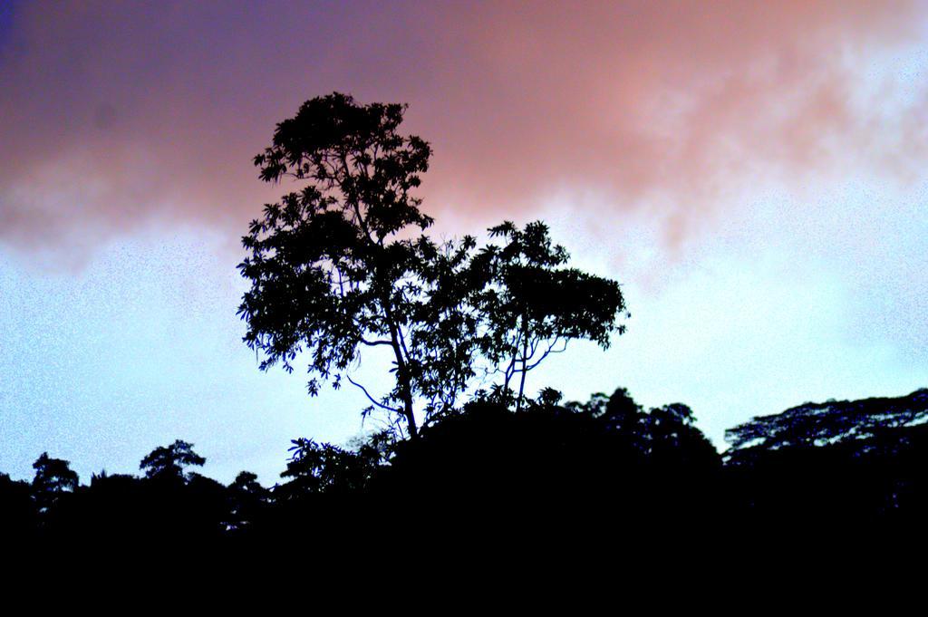 Hostel 107 Kandy Kültér fotó